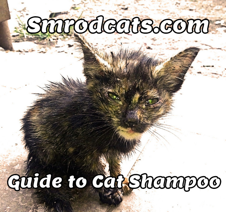 cat shampoos