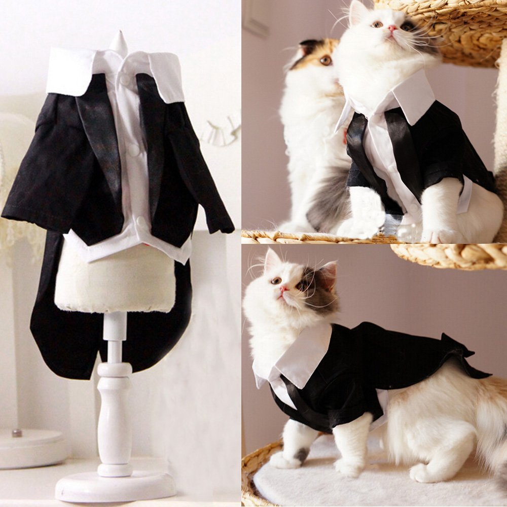 Cat Groom Tuxedo Clothes