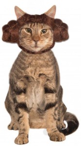 Check it out: www.smrodcats.com/apparel/costumes-for-cats/#leia