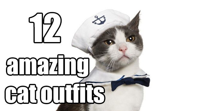 Cat Sailor Costume header