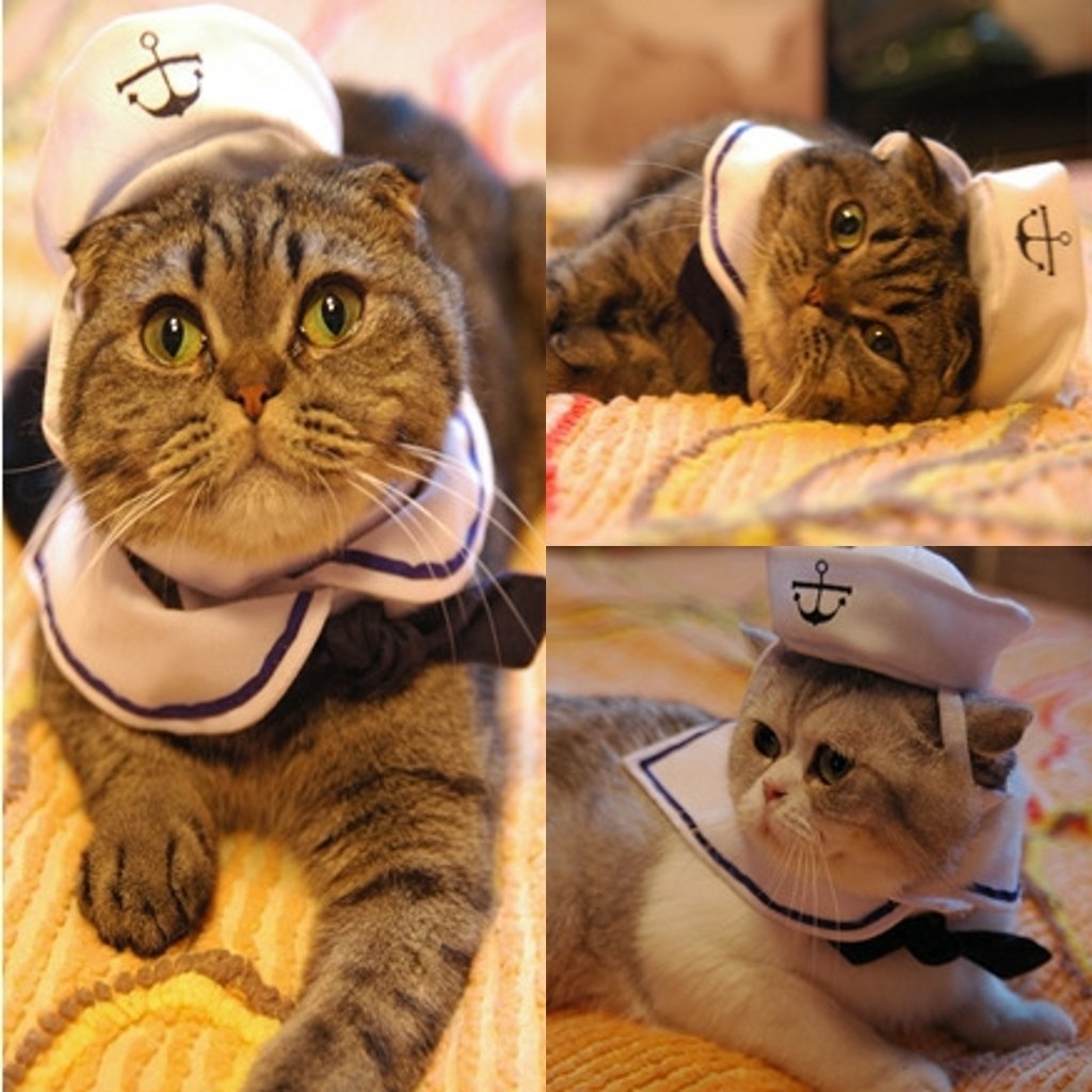 Cat Sailor Costume