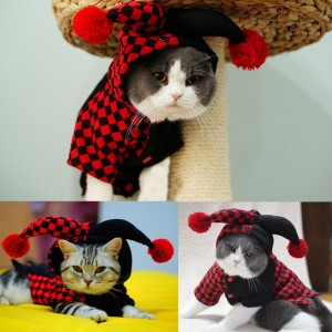 Check it out: www.smrodcats.com/apparel/costumes-for-cats/#jester