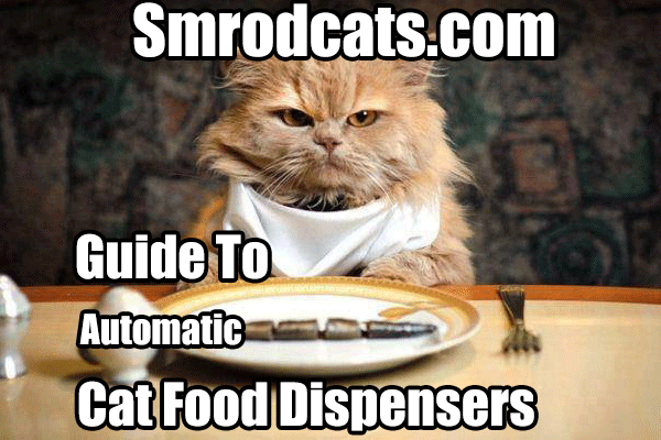 Smrodcats-Automatic-Cat-Food-Dispensers