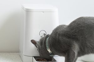 Petly Automatic Cat Feeder Reviews
