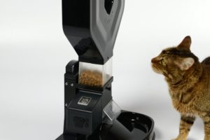 A review article on thisd amazing automated cat feeder